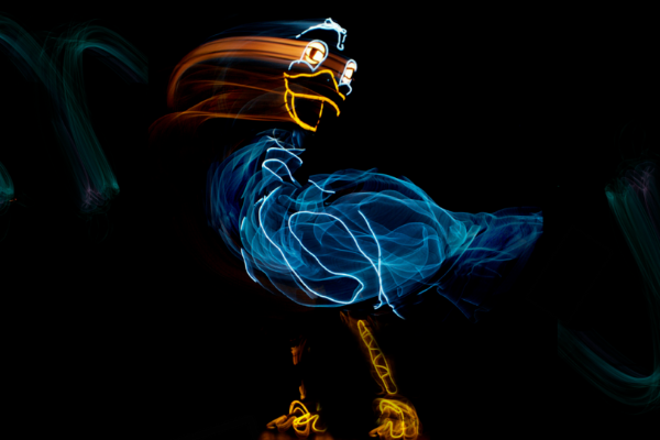 The Ugly Duckling neon frame picture